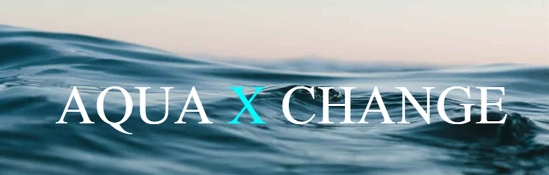 AquaXChange
