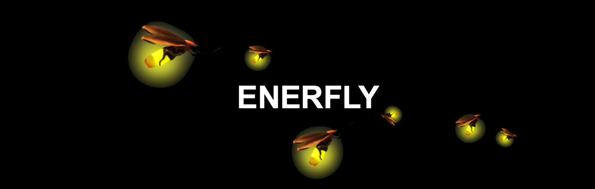 Enerfly